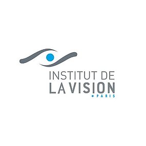 Institut de la vision